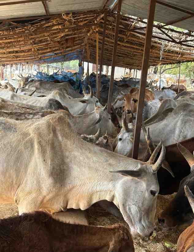 Gareeb Rath Foundation