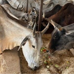 Gareeb Rath Foundation